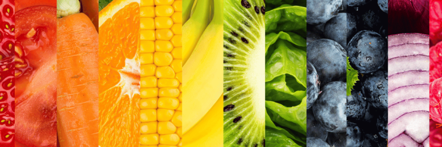 23_Dining Disability B