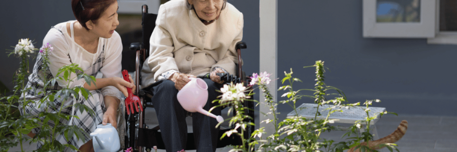 26_Seating Disability D