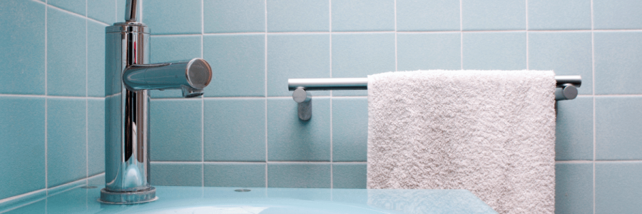 27_Toileting Disability D