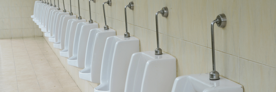 30_Toileting Disability B