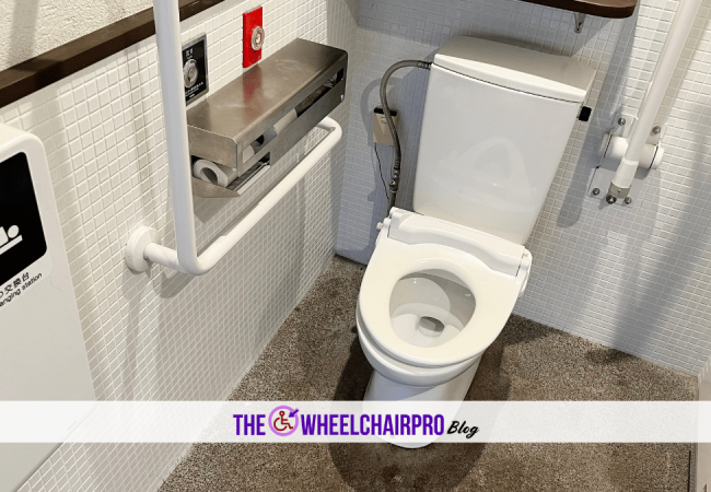 31_Toileting Disability A