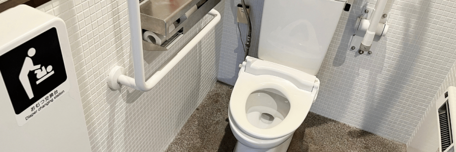 31_Toileting Disability A
