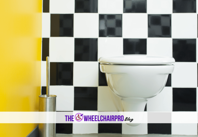 31_Toileting Disability D