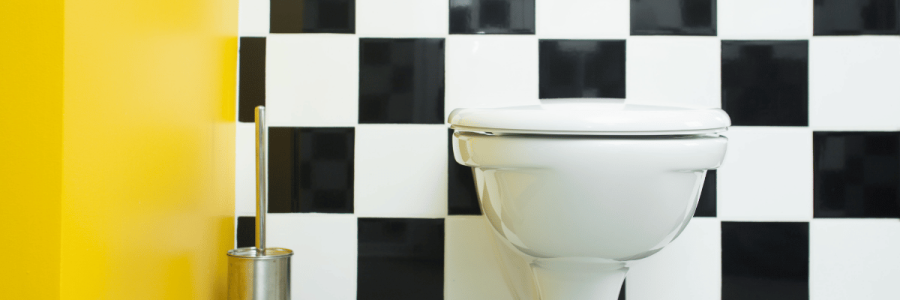 31_Toileting Disability D