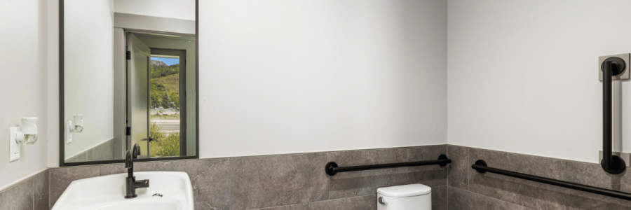 32_Toileting Disability A