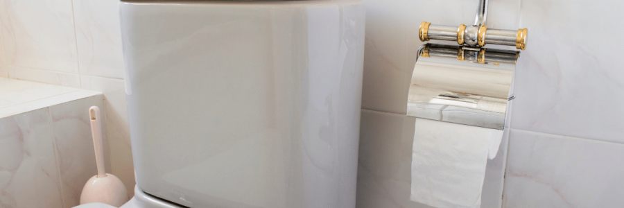 35_Toileting Disability B
