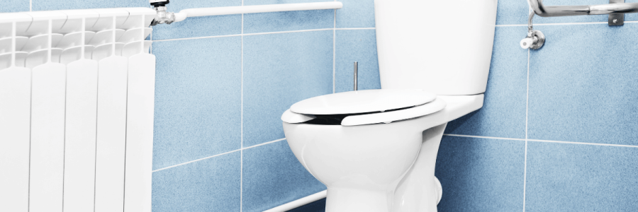 38_Toileting Disability B