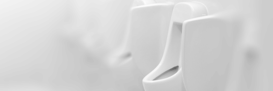 40_Toileting Disability B
