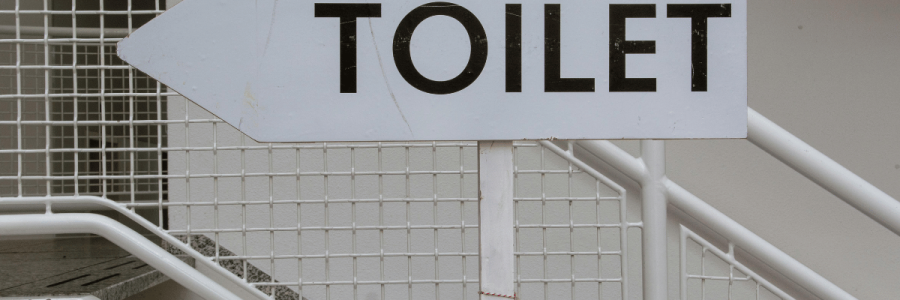41_Toileting Disability A