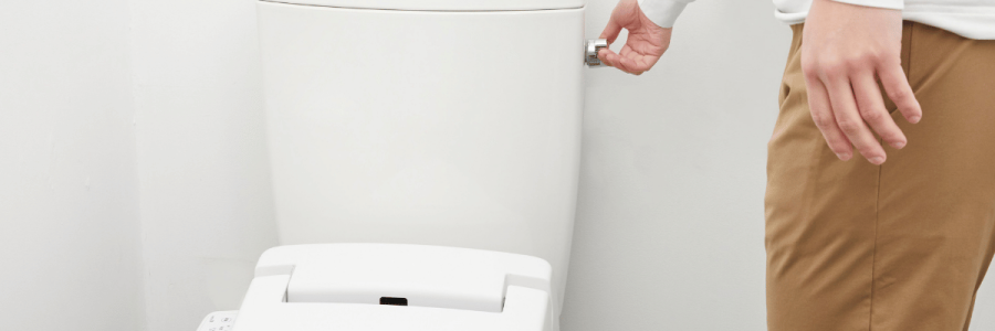 44_Toileting Disability A