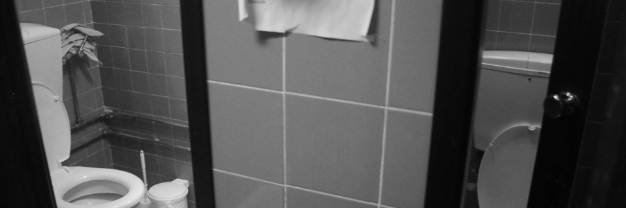 46_Toileting Disability B