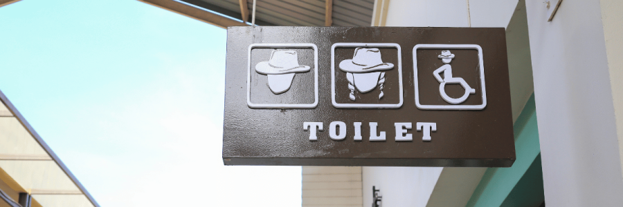 47_Toileting Disability C