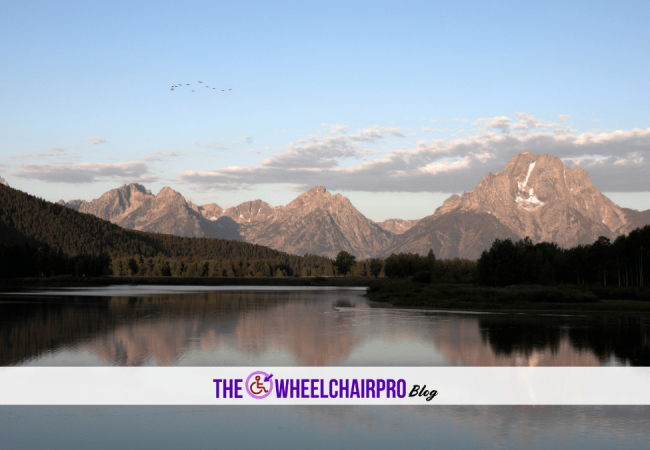 52_Caregiving Carer C