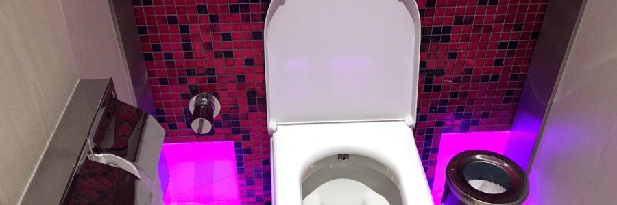 52_Toileting Disability D