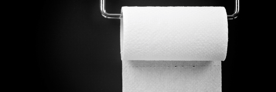 55_Toileting Disability B