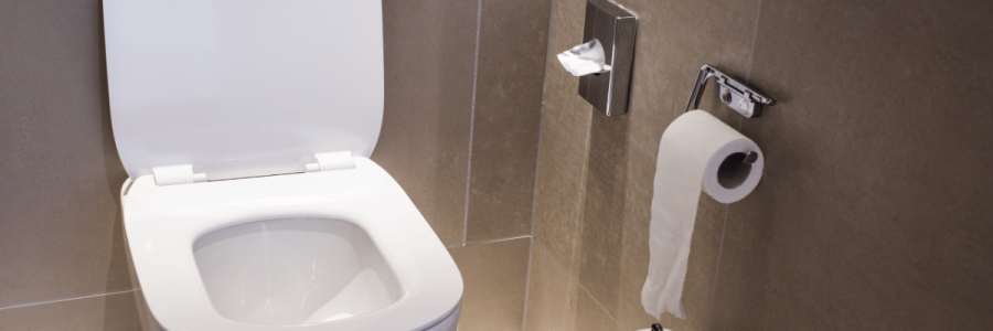61_Toileting Disability C