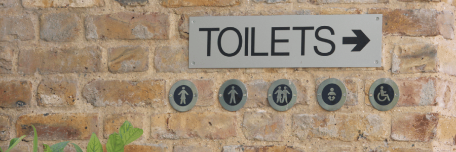 69_Toileting Disability D