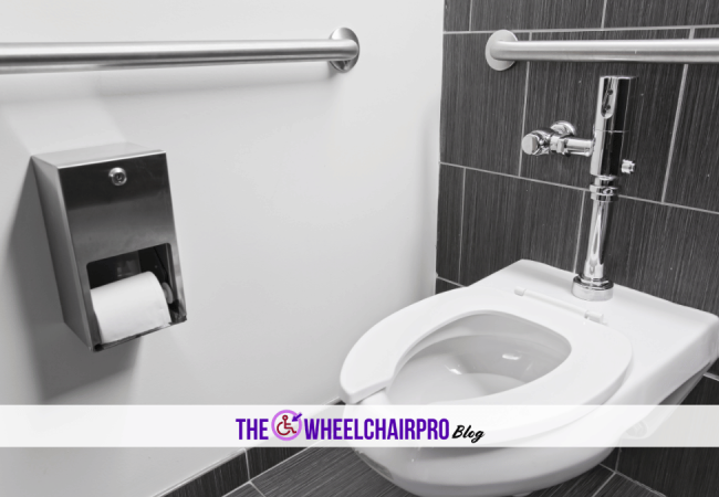 6_Toileting Disability B