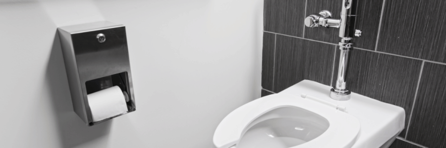 6_Toileting Disability B