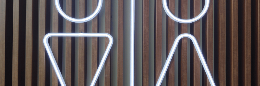 73_Toileting Disability B