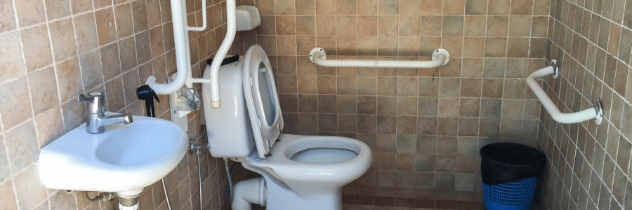81_Toileting Disability A