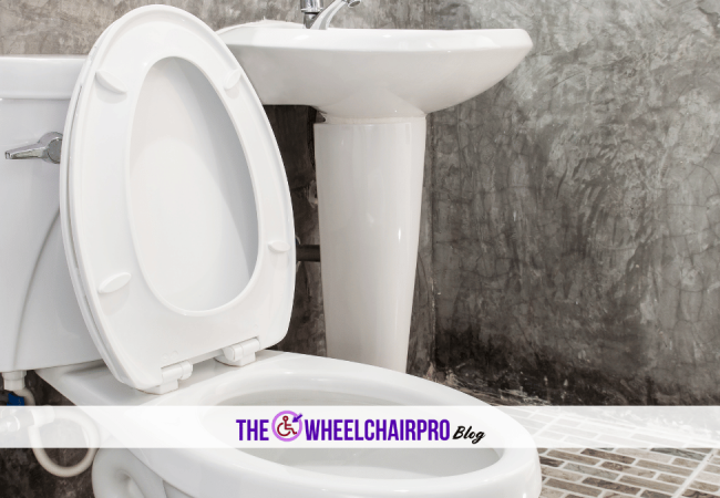 81_Toileting Disability D