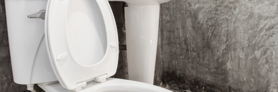 81_Toileting Disability D