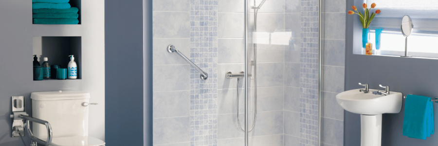 82_Toileting Disability C