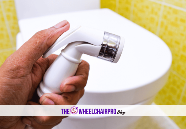 83_Toileting Disability D