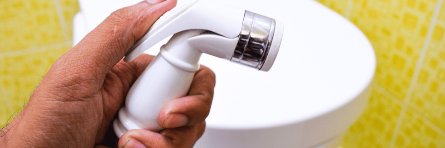 83_Toileting Disability D