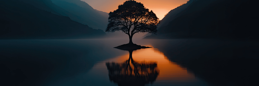 86_Caregiving Carer C