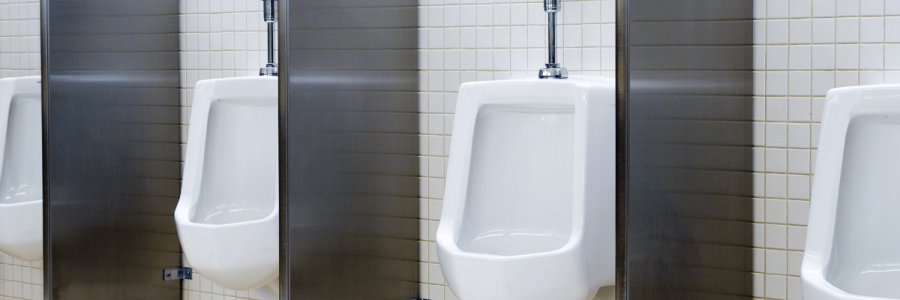 87_Toileting Disability B