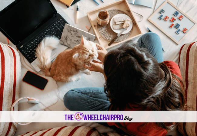 91_Finances Disability C