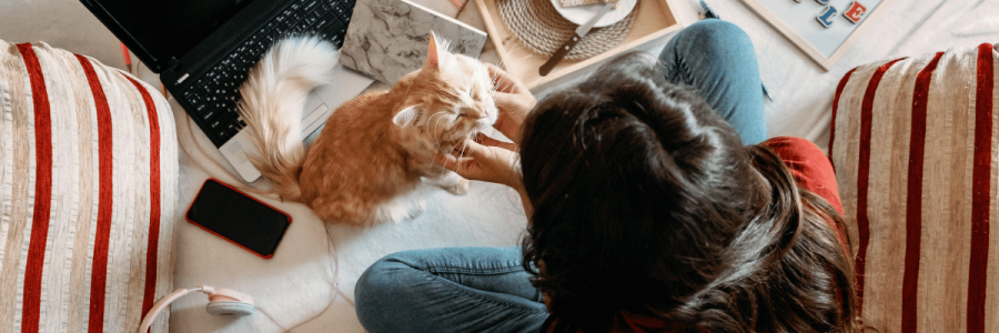 91_Finances Disability C