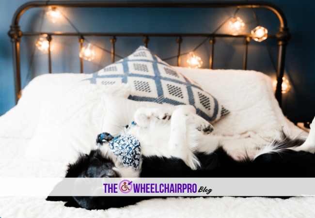 91_Sleep Disability A