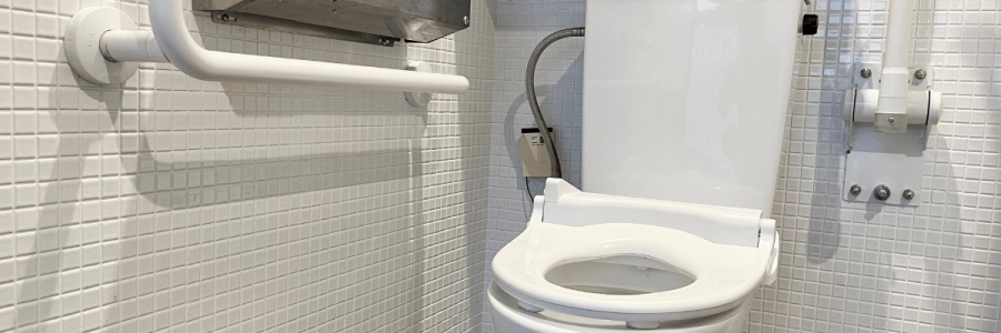 92_Toileting Disability A