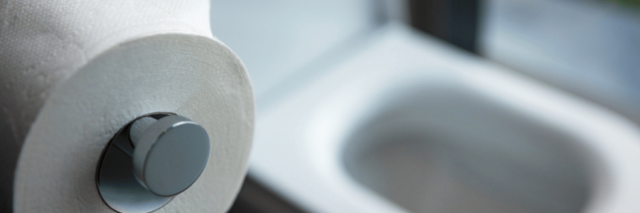 94_Toileting Disability B