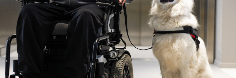 95_Disability Mobility C