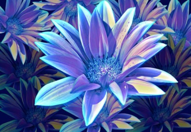 Pressure Sore Prevention: Wheelchair Users, Enjoy Comfort and Curb Infections