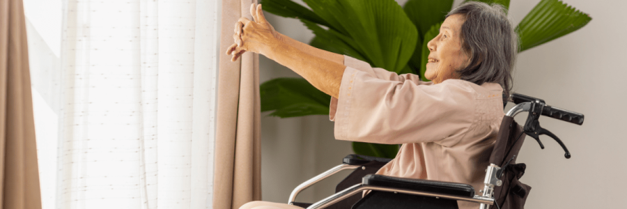 Disability Mobility (20)